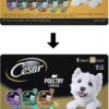 CESAR Soft Wet Dog Food Classic Loaf in Sauce Steak and Chicken Lovers Variety Pack, 6 Flavours - 36 Count