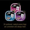CESAR Adult Soft Wet Dog Food Filets in Gravy Variety Pack, Filet Mignon, New York Strip and Prime Rib Flavors, (24) 3.5 oz. Trays CESAR Adult Soft Wet Dog Food Filets in Gravy Variety Pack, Filet Mignon, New York Strip and Prime Rib Flavors, (24) 3.5 oz. Trays