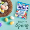 Welch's Fruit Snacks, Mixed Fruit, Gluten Free, 5 oz Bags (Pack of 12) Welch's Fruit Snacks, Mixed Fruit, Gluten Free, 5 oz Bags (Pack of 12)