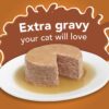 Purina Friskies Gravy Pate Wet Cat Food, Extra Gravy Pate With Chicken in Savory Gravy - (24) 5.5 oz. Cans