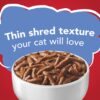 Purina Friskies Gravy Wet Cat Food, Shreds With Beef in Gravy - (24) 5.5 oz. Cans