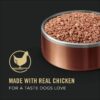 Purina Pro Plan High Protein, Pate Adult Wet Dog Food 13-Ounce Can, Pack of 12