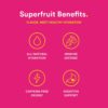Lemon Perfect, Organic Cold-Pressed Lemon Water, Squeezed from Real Fruit, Flavored Water, Sugar-Free, Keto Certified, No Artificial Ingredients, Dragon Fruit Mango (12-Pack)