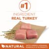 Purina ONE Natural, Weight Control Dry Dog Food, +Plus Healthy Weight Formula - 31.1 lb. Bag