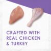 Purina Fancy Feast Dry Cat Food, With Savory Chicken & Turkey 16 oz. Bags, Pack of 4 Purina Fancy Feast Dry Cat Food, With Savory Chicken & Turkey 16 oz. Bags, Pack of 4