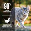 ORIJEN Dry Original Cat Food Premium, High Protein, Fresh & Raw Animal Ingredients, 4lb ORIJEN Dry Original Cat Food Premium, High Protein, Fresh & Raw Animal Ingredients, 4lb