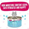 Weruva Wet Cat Food B.F.F. OMG - Best Feline Friend Oh My Gravy!, Tuna & Duck Dilly Dally with Tuna & Duck, 2.8oz Can (Pack of 12)