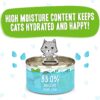 Weruva Wet Cat Food B.F.F. Play - Best Feline Friend Paté Lovers, Aw Yeah!, Lamb & Tuna Told Ya' with Lamb & Tuna, 2.8oz Can (Pack of 12) Weruva Wet Cat Food B.F.F. Play - Best Feline Friend Paté Lovers, Aw Yeah!, Lamb & Tuna Told Ya' with Lamb & Tuna, 2.8oz Can (Pack of 12)