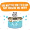 Weruva Wet Cat Food B.F.F. Play - Best Feline Friend Paté Lovers, Aw Yeah!, Tuna & Salmon Oh Snap! with Tuna & Salmon, 2.8oz Can (Pack of 12)