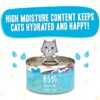 Weruva Wet Cat Food B.F.F. OMG - Best Feline Friend Oh My Gravy!, Chicken Cloud 9 with Chicken in Gravy, 2.8oz Can (Pack of 12) Weruva Wet Cat Food B.F.F. OMG - Best Feline Friend Oh My Gravy!, Chicken Cloud 9 with Chicken in Gravy, 2.8oz Can (Pack of 12)