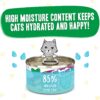 Weruva Wet Cat Food B.F.F. OMG - Best Feline Friend Oh My Gravy!, Chicken & Lamb Live N' Love with Chicken & Lamb in Gravy, 2.8oz Can (Pack of 12)