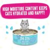Weruva Wet Cat Food B.F.F. Play - Best Feline Friend Paté Lovers, Aw Yeah!, Chicken, Duck & Turkey Take a Chance with Chicken, Duck & Turkey, 5.5 Ounce (Pack of 8)