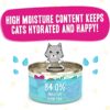 Weruva Wet Cat Food B.F.F. PLAY - Best Feline Friend Paté Lovers, Aw Yeah!, Chicken, Duck & Turkey Take a Chance with Chicken, Duck & Turkey, 2.8oz Can (Pack of 12)