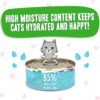 Weruva Wet Cat Food B.F.F. OMG - Best Feline Friend Oh My Gravy!, Tuna & Lamb Lights Out with Tuna & Lamb, 5.5oz Can (Pack of 8) Weruva Wet Cat Food B.F.F. OMG - Best Feline Friend Oh My Gravy!, Tuna & Lamb Lights Out with Tuna & Lamb, 5.5oz Can (Pack of 8)