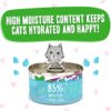 Weruva Wet Cat Food B.F.F. OMG - Best Feline Friend Oh My Gravy!, Tuna & Lamb Lights Out with Tuna & Lamb, 2.8oz Can (Pack of 12) Weruva Wet Cat Food B.F.F. OMG - Best Feline Friend Oh My Gravy!, Tuna & Lamb Lights Out with Tuna & Lamb, 2.8oz Can (Pack of 12)