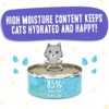 Weruva Wet Cat Food B.F.F. OMG - Best Feline Friend Oh My Gravy!, Chicken & Beef Be Happy with Chicken & Beef in Gravy, 5.5oz Can (Pack of 8)