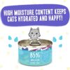 Weruva Wet Cat Food B.F.F. OMG - Best Feline Friend Oh My Gravy!, Chicken & Beef Be Happy with Chicken & Beef in Gravy, 2.8oz Can (Pack of 12)