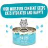 Weruva Wet Cat Food B.F.F. Play - Best Feline Friend Paté Lovers, Aw Yeah!, Chicken & Turkey Topsy Turvy with Chicken & Turkey, 2.8oz Can (Pack of 12)