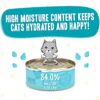 Weruva Wet Cat Food B.F.F. Play - Best Feline Friend Paté Lovers, Aw Yeah!, Chicken & Turkey Topsy Turvy with Chicken & Turkey, 5.5oz Can (Pack of 8)
