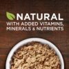 Purina ONE Natural Pate Wet Puppy Food, SmartBlend Healthy Puppy Lamb & Long Grain Rice Entree - (12) 13 oz. Cans
