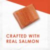 Purina Fancy Feast Grain Free Pate Wet Cat Food, Classic Pate Savory Salmon Feast - (24) 3 oz. Cans
