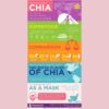 Mamma Chia Organic Vitality Squeeze Snack, Blackberry Bliss, 24- 3.05 Ounce Chia Pouches. USDA Organic, Non-GMO, Vegan, Gluten Free, and Kosher. Fruit and Vegetables with only 70 Calories