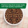 Rachael Ray Nutrish Premium Natural Dry Dog Food, Real Chicken & Veggies Recipe, 40 Pounds (Packaging May Vary) Rachael Ray Nutrish Premium Natural Dry Dog Food, Real Chicken & Veggies Recipe, 40 Pounds (Packaging May Vary)