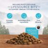 Blue Buffalo Wilderness High Protein, Natural Adult Dry Dog Food, Chicken 4.5-lb
