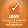 Purina Friskies Gravy Pate Wet Cat Food, Extra Gravy Pate With Chicken in Savory Gravy - (24) 5.5 oz. Cans