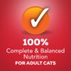 Purina Friskies Gravy Wet Cat Food, Shreds With Beef in Gravy - (24) 5.5 oz. Cans