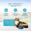 Blue Buffalo Sensitive Stomach Natural Adult Dry Cat Food, Chicken & Brown Rice 15-Lb
