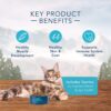 Blue Buffalo Wilderness High Protein, Natural Adult Dry Cat Food, Salmon 11-lb