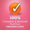 Purina Friskies Pate Wet Cat Food, Salmon Dinner - (24) 5.5 oz. Cans