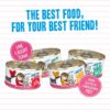 Weruva Wet Cat Food Best Feline Friend (B.F.F.), Batch 'O Besties Variety Pack, 3oz Can (Pack of 12) Weruva Wet Cat Food Best Feline Friend (B.F.F.), Batch 'O Besties Variety Pack, 3oz Can (Pack of 12)