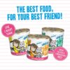 Weruva Wet Cat Food Best Feline Friend (B.F.F.), Big Feline Feast Variety Pack, 10oz Cans (Pack of 12), Multi Color