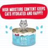 Weruva Best Feline Friend (B.F.F.) Tuna Too Cool with Red Meat Tuna in Gelee Cat Food, 3oz Can (Pack of 24)