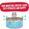 Weruva Best Feline Friend (B.F.F.) Tuna Too Cool with Red Meat Tuna in Gelée Cat Food, 5.5oz Can (Pack of 24)