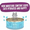 Weruva Best Feline Friend (B.F.F.) Tuna & Tilapia Twosome with Tuna & Tilapia in Gelée Cat Food, 5.5oz Can (Pack of 24), Purple