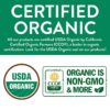 FGO Organic Ginger Tea Bags 100 Tea Bags Eco-Conscious Tea Bags in Kraft Bag Raw from India FGO Organic Ginger Tea Bags 100 Tea Bags Eco-Conscious Tea Bags in Kraft Bag Raw from India