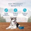 Blue Buffalo Wilderness High Protein, Natural Adult Dry Dog Food, Chicken 4.5-lb