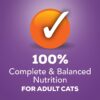 Purina Friskies Pate Wet Cat Food, Turkey & Giblets Dinner - (24) 5.5 oz. Cans Purina Friskies Pate Wet Cat Food, Turkey & Giblets Dinner - (24) 5.5 oz. Cans