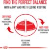 Royal Canin Feline Care Nutrition Intense Beauty Thin Slices in Gravy Canned Cat Food, 3 oz cans 24-count Royal Canin Feline Care Nutrition Intense Beauty Thin Slices in Gravy Canned Cat Food, 3 oz cans 24-count