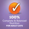 Purina Friskies Gravy Wet Cat Food, Shreds Turkey & Cheese Dinner - (24) 5.5 oz. Cans Purina Friskies Gravy Wet Cat Food, Shreds Turkey & Cheese Dinner - (24) 5.5 oz. Cans