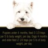 CESAR Puppy Soft Wet Dog Food Classic Loaf in sauce Chicken & Beef Recipe, 3.5 oz. Pack of 24 Easy Peel Trays