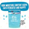 Weruva Wet Cat Food B.F.F. OMG - Best Feline Friend Oh My Gravy!, Chicken Charge Me Up with Chicken in Gravy, 2.8oz Pouch (Pack of 12)