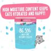 Weruva B.F.F. Omg - Best Feline Friend Oh My Gravy!, Date Nite! With Duck & Salmon In Gravy Cat Food, 2.8Oz Pouch (Pack Of 12)