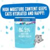 Weruva B.F.F. OMG - Best Feline Friend Oh My Gravy!, Ciao Baby! with Chicken & Shrimp in Gravy Cat Food, 2.8oz Pouch (Pack of 12)