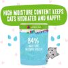Weruva B.F.F. OMG - Best Feline Friend Oh My Gravy!, Tuna & Lamb Luv Ya with Tuna & Lamb in Gravy Cat Food, 3oz Pouch (Pack of 12)