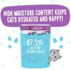 Weruva B.F.F. Omg - Best Feline Friend Oh My Gravy!, Booya! Beef & Chicken In Gravy Cat Food, 2.8Oz Pouch (Pack Of 12)