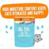Weruva B.F.F. OMG - Best Feline Friend Oh My Gravy!, Purr-Fect Plannin'! with Chicken, Turkey & Salmon in Gravy Cat Food, 2.8oz Pouch (Pack of 12)